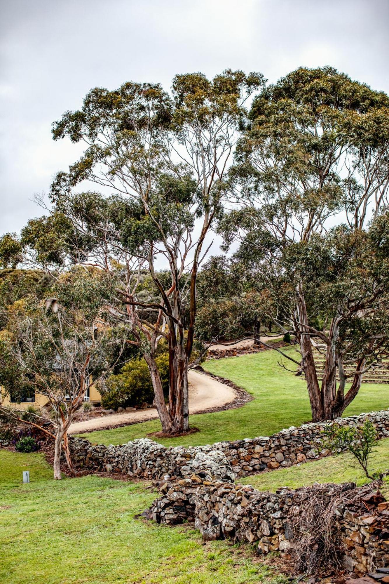 Resort Piermont Retreat